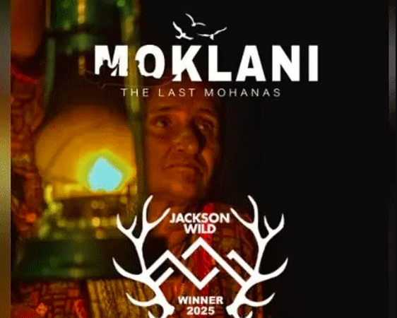 Pakistani film Moklani: The Last Mohanas makes history, wins global honour at Jackson Wild Media Awards