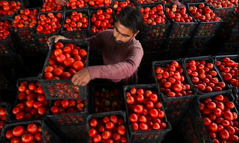 Pakistan-Afghanistan Border Closures Drive Up Prices of Essential Goods Like Tomatoes