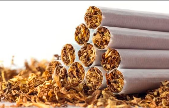 Pakistan Achieves Record-Breaking Monthly Tobacco Exports